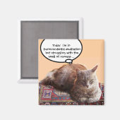 TÜRKISCHE KATZE IN ÜBERSCHREITENDER MEDITUNG MAGNET (Vorderseite/Rückseite)