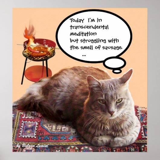 TÜRKISCHE KATZE IN ÜBERSCHREITENDER MEDITUNG POSTER (Vorne)
