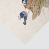 Türkische Küche Pracht Warbler, Decoupage Seidenpapier (Ausschnitt)