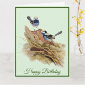 Türkische Küche Superb Warbler Karte (Gelbe Blume)