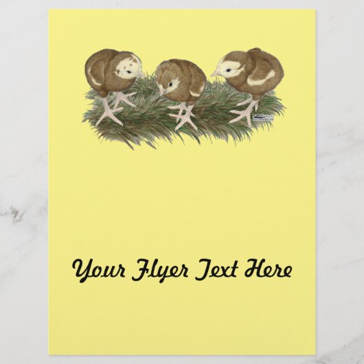 Türkische Schokoladenkuchen Flyer (Vorne)