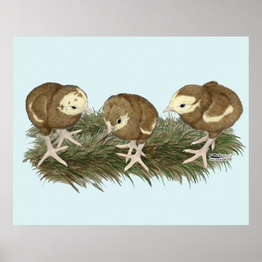 Türkische Schokoladenkuchen Poster (Vorne)