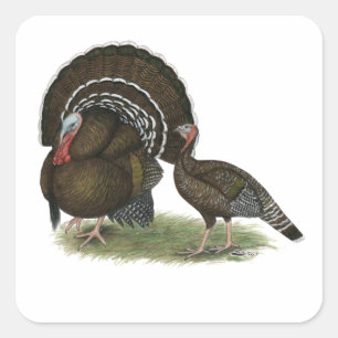 Türkische Standardbronze Aufkleber