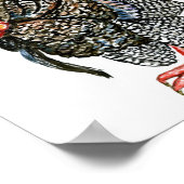 Türkische Vogelkunde Poster (Ecke)