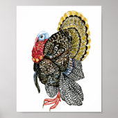 Türkische Vogelkunde Poster (Vorne)