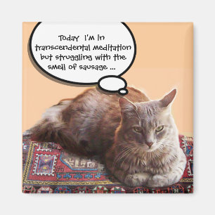 TÜRKISCHER CAT IN DER TRANSCENDENTAL MEDITATION MAGNET