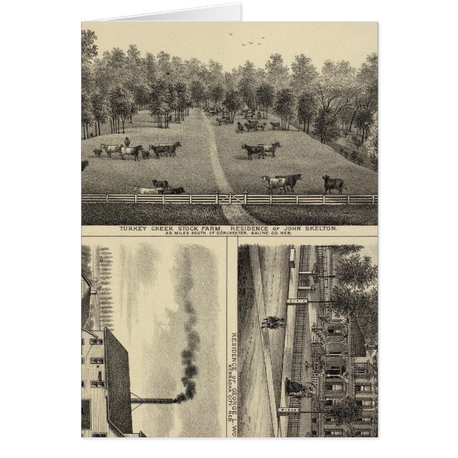 Türkischer Creek-Bauernhof, Nebraska (Vorne)
