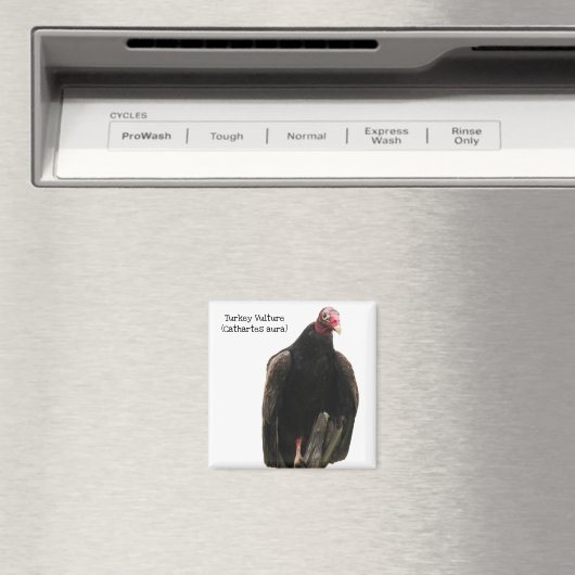 Türkischer Vulkan Magnet (In Situ (Geschirrspüler))