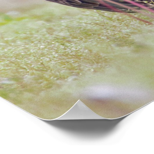 Türkischer Vulkan Poster (Ecke)