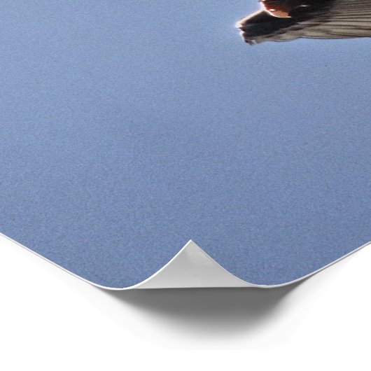 Türkischer Vulkan Poster (Ecke)