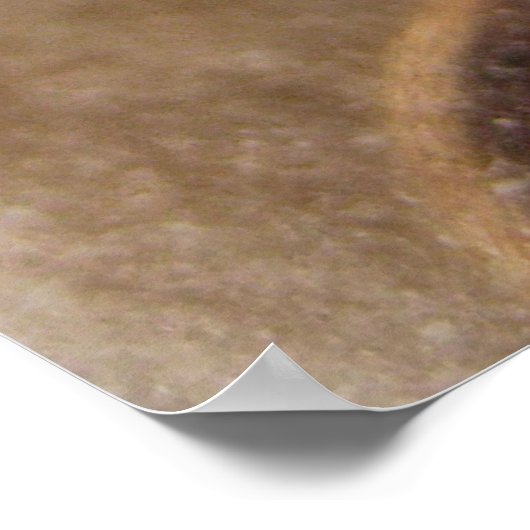 türkisches Kaffeeposter Poster (Ecke)