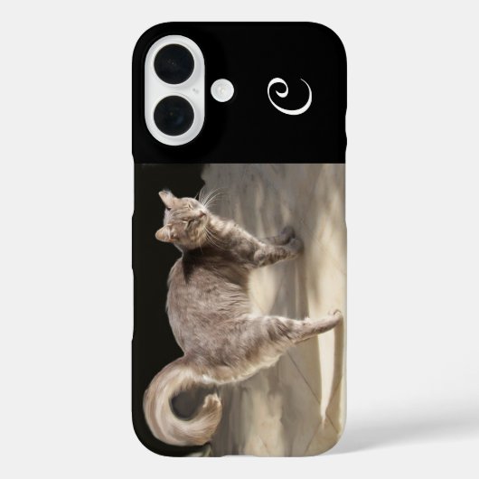 TÜRKISCHES KATMONOGRAMM Case-Mate iPhone HÜLLE (Rückseite)