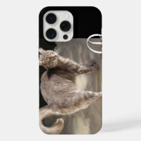 TÜRKISCHES KATZEN-MONOGRAMM