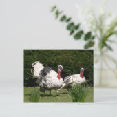 Türkisches Paar Postkarte (Stehend Vorderseite)