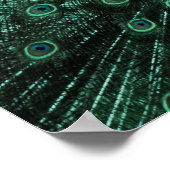 Türkisches Poster und grüne Pfauenmauer (Ecke)