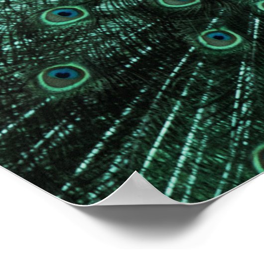 Türkisches Poster und grüne Pfauenmauer (Ecke)