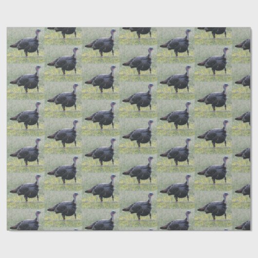 Türkisches Schleifpapier Geschenkpapier (Flach)