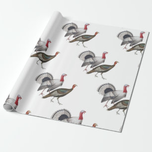 Türkisches Schleifpapier Geschenkpapier
