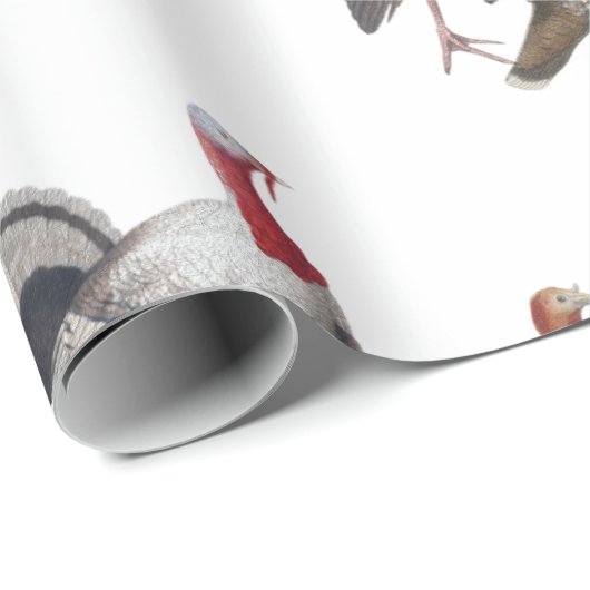 Türkisches Schleifpapier Geschenkpapier (Rolleneckpunkt)