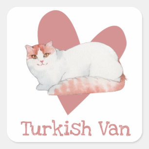 Türkisches Van Cat Wassercolor Kitty Pink Herz Quadratischer Aufkleber