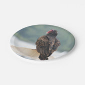 Türkisches Vulturpapier Pappteller (Schrägansicht)