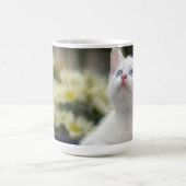 Türkisches weißes Kätzchen Kaffeetasse (Mittel)