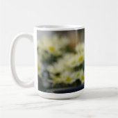 Türkisches weißes Kätzchen Kaffeetasse (Links)
