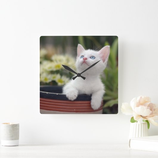 Türkisches weißes Kätzchen Quadratische Wanduhr (Zuhause)