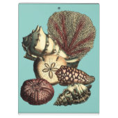 Türkisfarbene Muschel und Rote Koralle Klemmbrett (Rückseite)