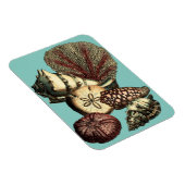 Türkisfarbene Muschel und Rote Koralle Magnet (Rechte Seite)