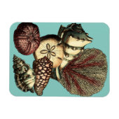 Türkisfarbene Muschel und Rote Koralle Magnet (Horizontal)