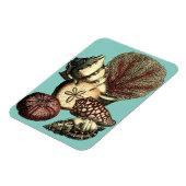 Türkisfarbene Muschel und Rote Koralle Magnet (Linke Seite)