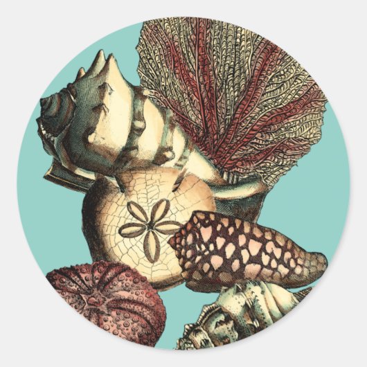 Türkisfarbene Muschel und Rote Koralle Runder Aufkleber (Vorderseite)