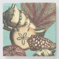 Türkisfarbene Muschel und Rote Koralle