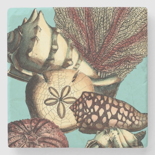 Türkisfarbene Muschel und Rote Koralle Steinuntersetzer (Vorderseite)