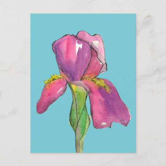 Türkisfarbene Rosa-Iris-Blume Postkarte (Vorderseite)