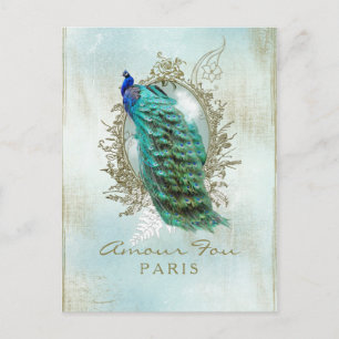 Türkisfarbener Shabby-Pfau - Postkarte