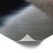 Turkish Angora Cat with Odd Eyes Poster (Ecke)