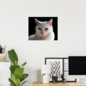 Turkish Angora Cat with Odd Eyes Poster (Heimbüro)