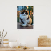 Turkish Van Poster (Küche)