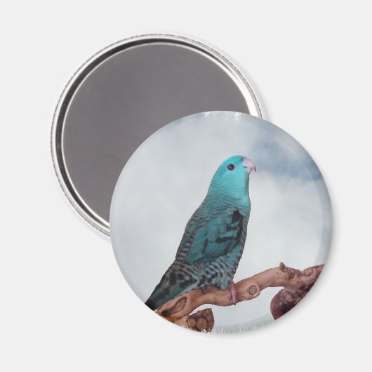 Türkislinie Magnet (Vorderseite/Rückseite)