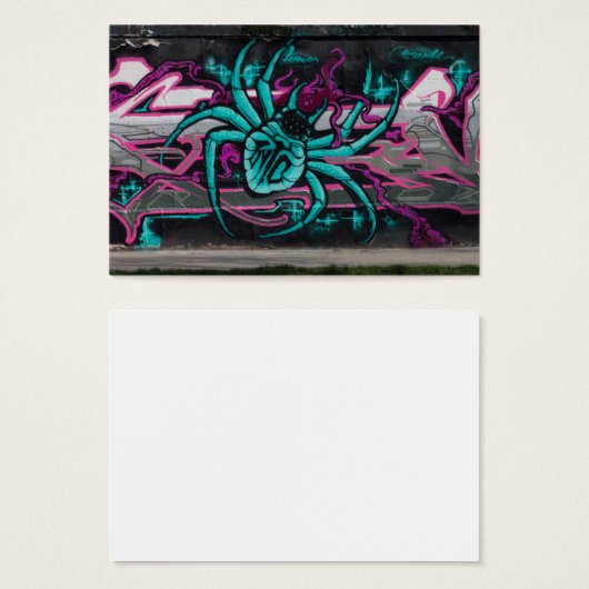 Türkisspinne (Vorne & Hinten)