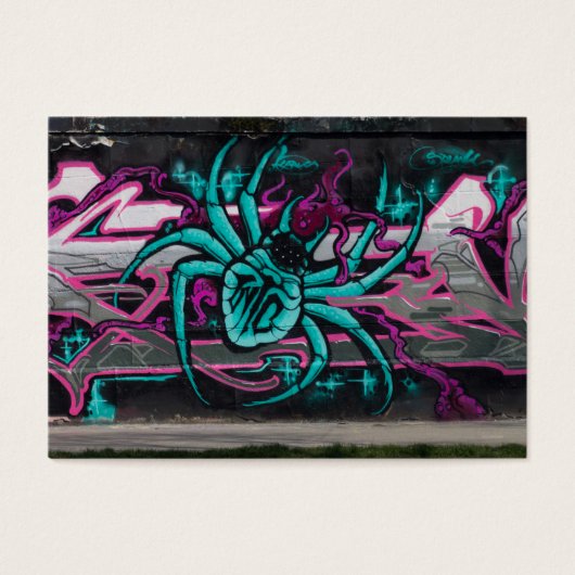 Türkisspinne (Vorderseite)