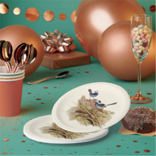 Türkiszauber-Zaunkönig, Pappteller