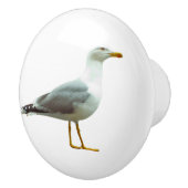 Türklappe und Schublade Keramikknauf (Rechts)