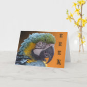 Türklingel Karte (Gelbe Blume)