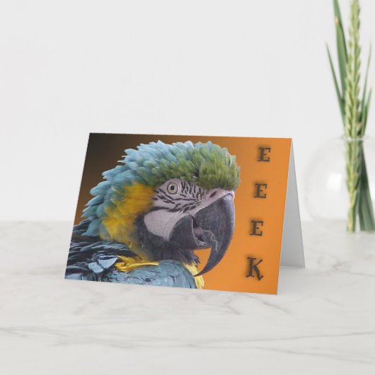 Türklingel Karte (Vorderseite)