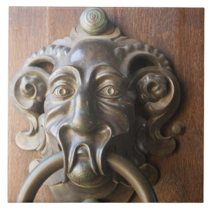 Türklopfer an der Neuen Residenz Fliese