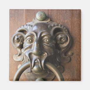 Türklopfer an der Neuen Residenz Magnet
