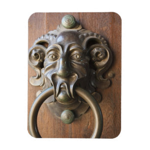 Türklopfer in der Neuen Residenz Magnet
